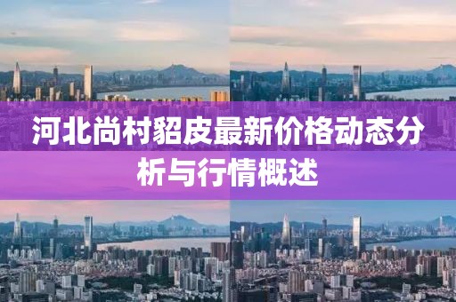 河北尚村貂皮最新價格動態(tài)分析與行情概述