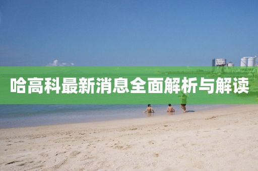 哈高科最新消息全面解析與解讀