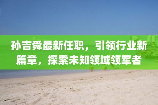 孫吉舜最新任職,引領行業新篇章,探索未知領域領軍者