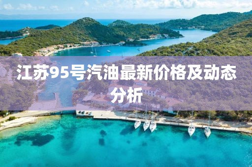 江蘇95號汽油最新價格及動態分析