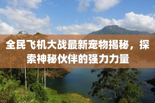 全民飛機大戰最新寵物揭秘,探索神秘伙伴的強力力量