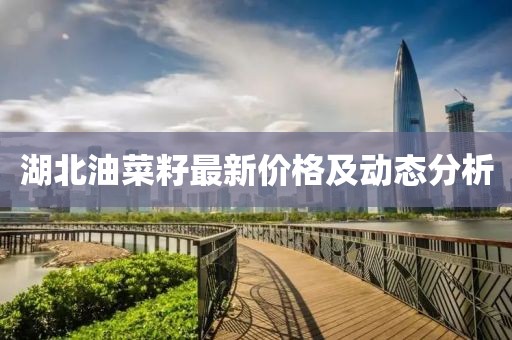 湖北油菜籽最新價格及動態分析