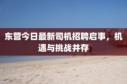 東營今日最新司機招聘啟事,機遇與挑戰(zhàn)并存