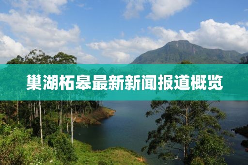 巢湖柘皋最新新聞報道概覽