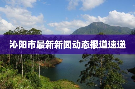 沁陽市最新新聞動態報道速遞