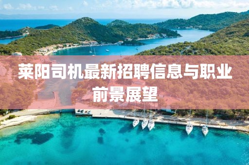 萊陽司機最新招聘信息與職業(yè)前景展望