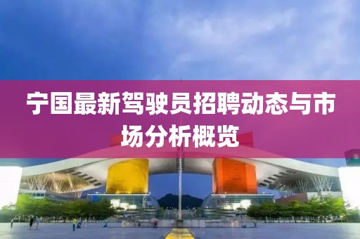 寧國最新駕駛員招聘動態與市場分析概覽