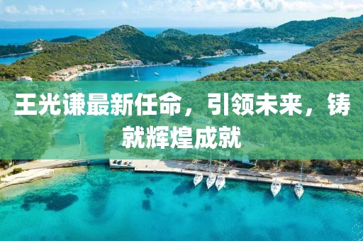 王光謙最新任命,引領未來,鑄就輝煌成就