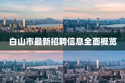 白山市最新招聘信息全面概覽