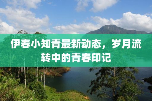 伊春小知青最新動(dòng)態(tài),歲月流轉(zhuǎn)中的青春印記