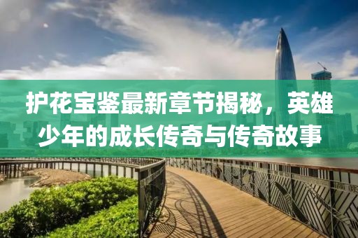 護花寶鑒最新章節揭秘,英雄少年的成長傳奇與傳奇故事