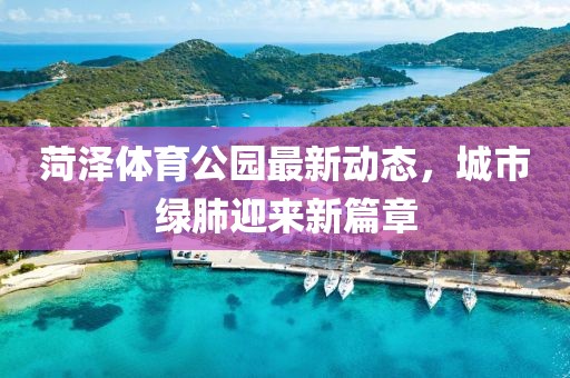 菏澤體育公園最新動態(tài),城市綠肺迎來新篇章