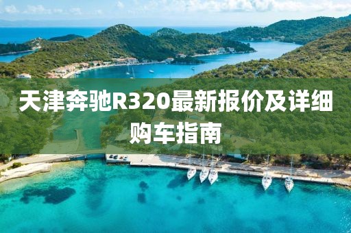 天津奔馳R320最新報價及詳細購車指南