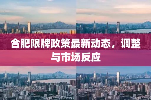 合肥限牌政策最新動態,調整與市場反應