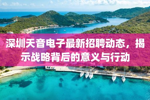深圳天音電子最新招聘動(dòng)態(tài),揭示戰(zhàn)略背后的意義與行動(dòng)