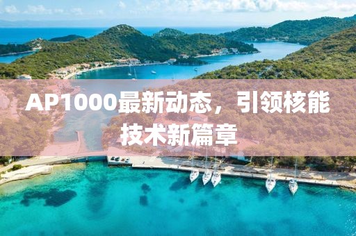 AP1000最新動態(tài),引領(lǐng)核能技術(shù)新篇章