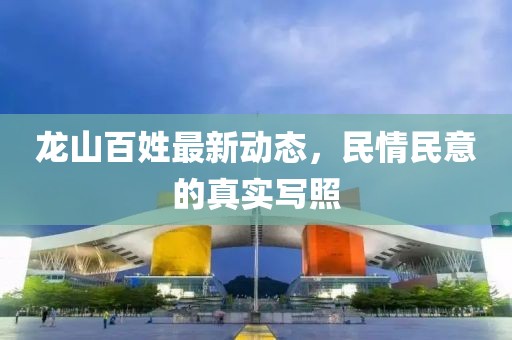 龍山百姓最新動態,民情民意的真實寫照