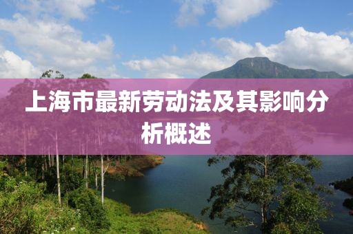 上海市最新勞動法及其影響分析概述