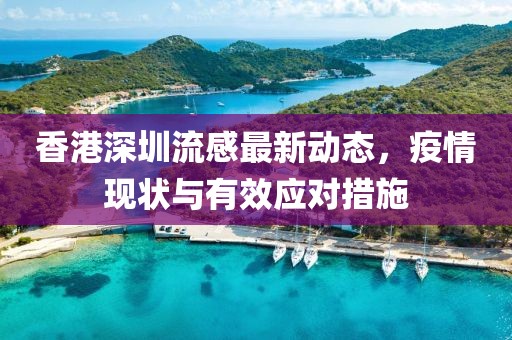 香港深圳流感最新動態,疫情現狀與有效應對措施