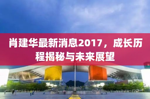 肖建華最新消息2017,成長歷程揭秘與未來展望