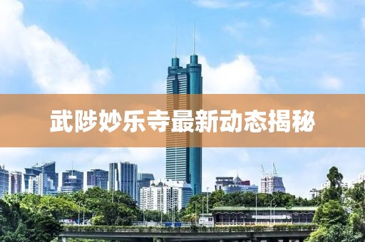 武陟妙樂寺最新動態揭秘