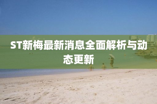 ST新梅最新消息全面解析與動態更新