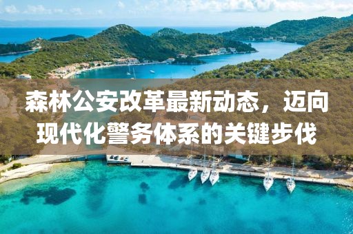 森林公安改革最新動態,邁向現代化警務體系的關鍵步伐