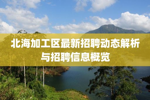 北海加工區(qū)最新招聘動(dòng)態(tài)解析與招聘信息概覽