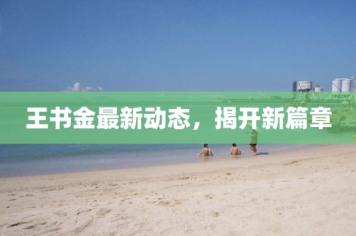 王書金最新動態，揭開新篇章