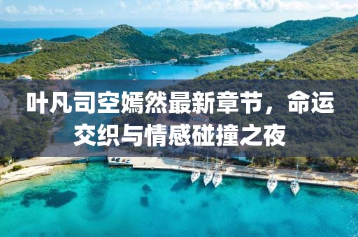 葉凡司空嫣然最新章節,命運交織與情感碰撞之夜