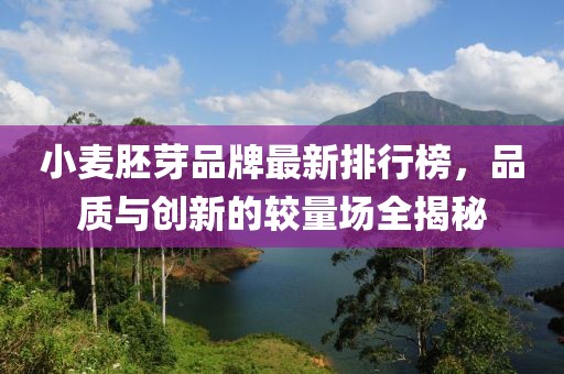 小麥胚芽品牌最新排行榜,品質與創新的較量場全揭秘