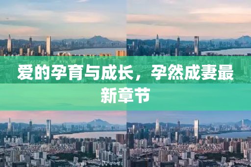 愛的孕育與成長,孕然成妻最新章節