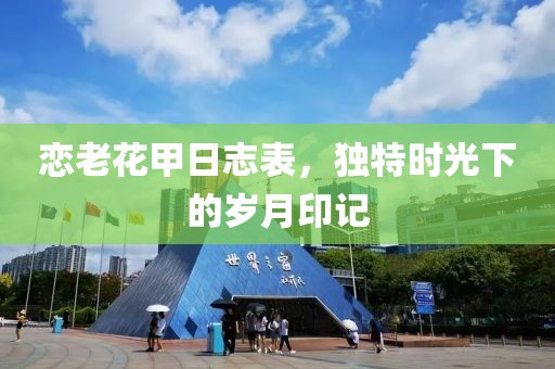 戀老花甲日志表,獨特時光下的歲月印記