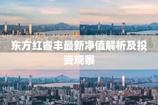 東方紅睿豐最新凈值解析及投資觀察