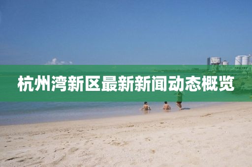 杭州灣新區最新新聞動態概覽