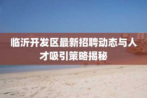 臨沂開發(fā)區(qū)最新招聘動態(tài)與人才吸引策略揭秘