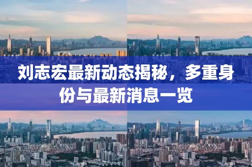 劉志宏最新動(dòng)態(tài)揭秘,多重身份與最新消息一覽