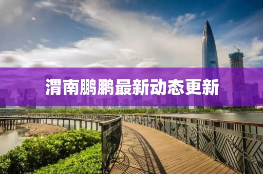 渭南鵬鵬最新動態更新
