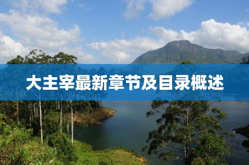 大主宰最新章節及目錄概述