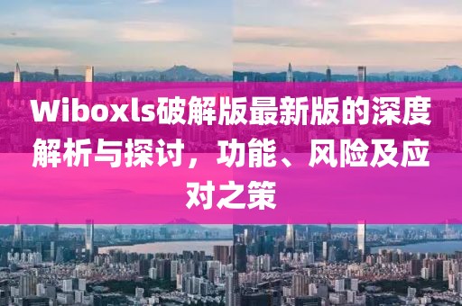 Wiboxls破解版最新版的深度解析與探討,功能、風險及應對之策