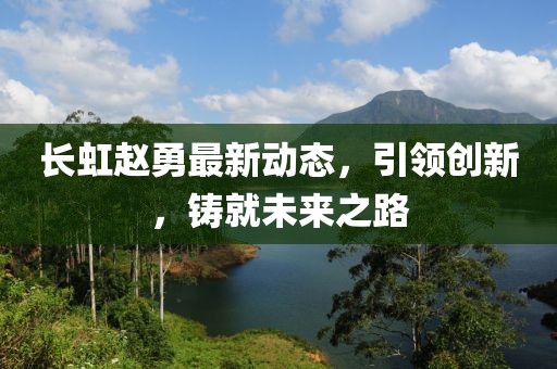 長(zhǎng)虹趙勇最新動(dòng)態(tài)，引領(lǐng)創(chuàng)新，鑄就未來(lái)之路