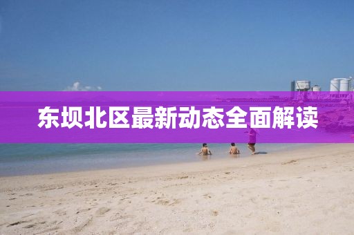 東壩北區最新動態全面解讀
