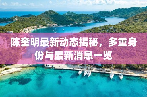 陳奎明最新動態揭秘，多重身份與最新消息一覽