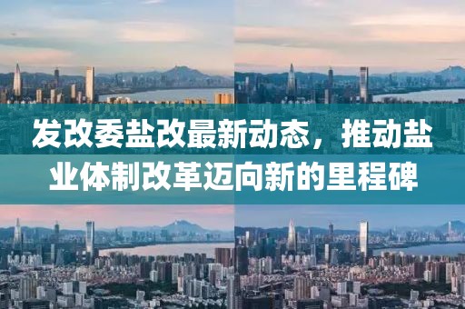 發(fā)改委鹽改最新動態(tài),推動鹽業(yè)體制改革邁向新的里程碑