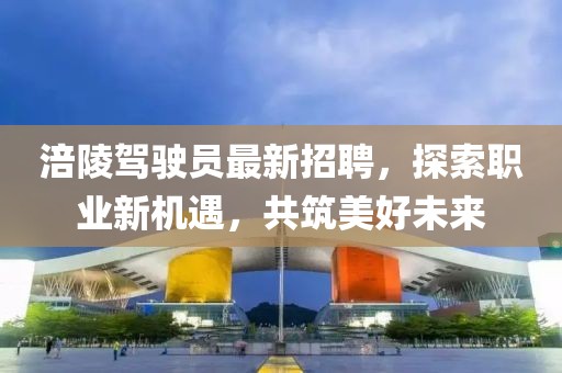涪陵駕駛員最新招聘,探索職業新機遇,共筑美好未來