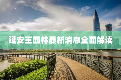 延安王西林最新消息全面解讀