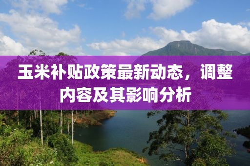 玉米補(bǔ)貼政策最新動(dòng)態(tài),調(diào)整內(nèi)容及其影響分析