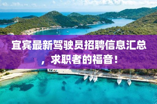 宜賓最新駕駛員招聘信息匯總，求職者的福音！