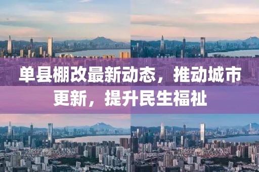 苗小姐 第11頁