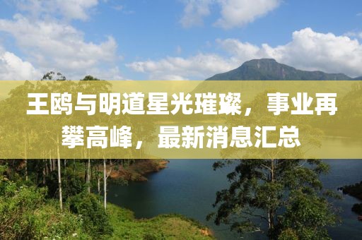 王鷗與明道星光璀璨,事業再攀高峰,最新消息匯總